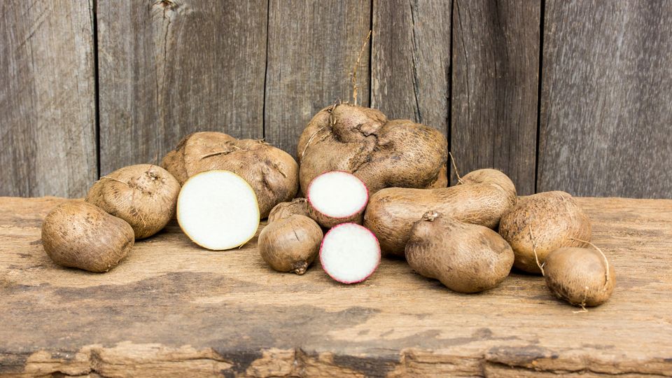 Agricultural Grant To Help Breed More Resilient Yams in West Africa