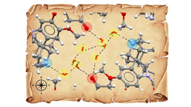 A treasure map that shows the position of water molecules within a crystal structure. 