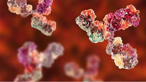 A stylised image of an antibody.