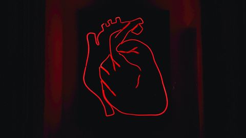 Image depicting a heart.