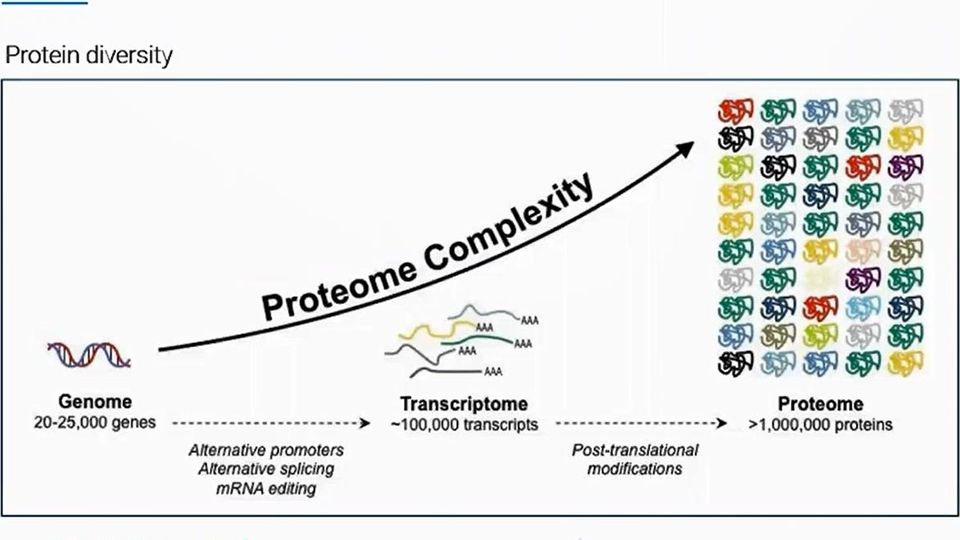 Overcoming Technological and Bioinformatic Hurdles with 4D Proteomics ...