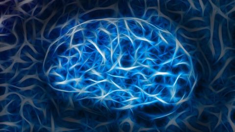 Collection of blue and white neurons in the brain.