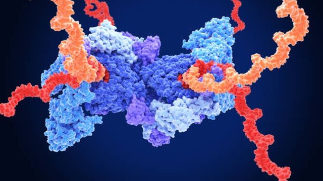 Picture of Protein Degradation – A Guide to the Proteasome and Autophagy Systems ...