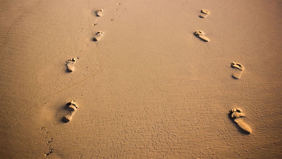 Footprints in the sand.