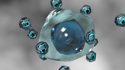 An image of a cell.