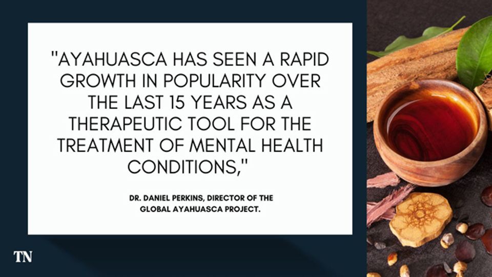 Is Ayahuasca Safe? Ask the Researcher content piece image