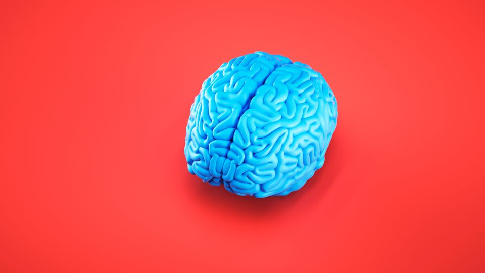 A brain against a red background.