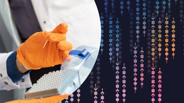 A gloved hand holding a pipette tip against a patterned background. 