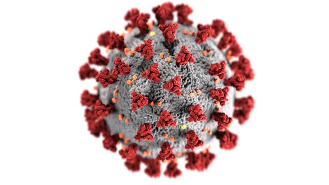 3D render of a coronavirus particle. 