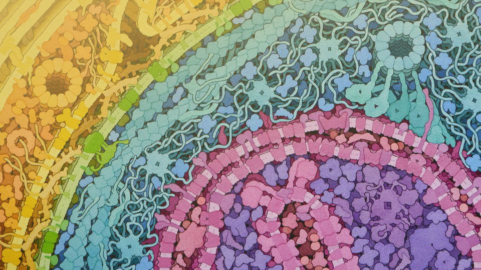 Molecular Science and Art With Professor David Goodsell