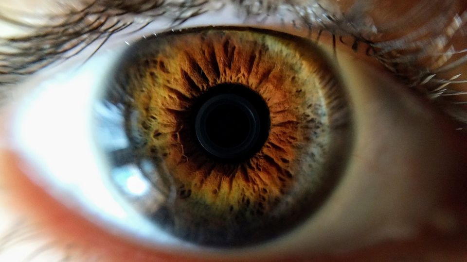 A close up of a brown eye.