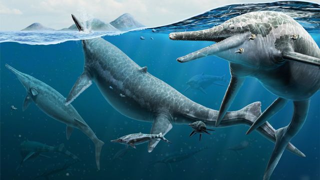 An artistic reconstruction of adult and newly born Triassic ichthyosaurs Shonisaurus. 