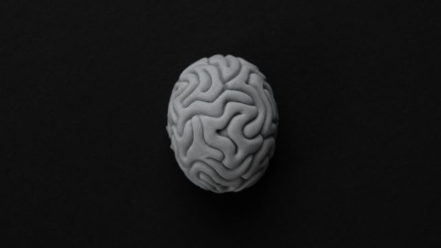 Aerial view of a white brain model.  