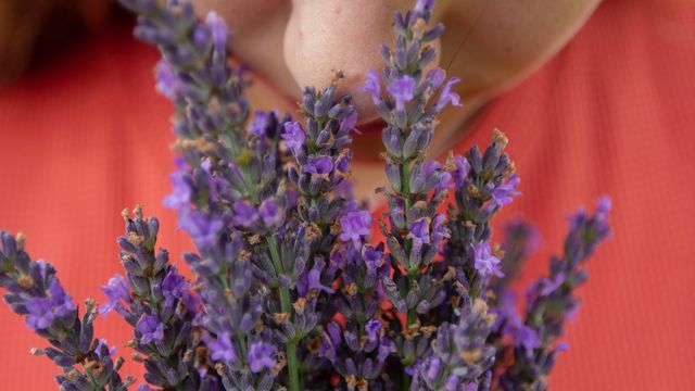 A woman smelling some lavender