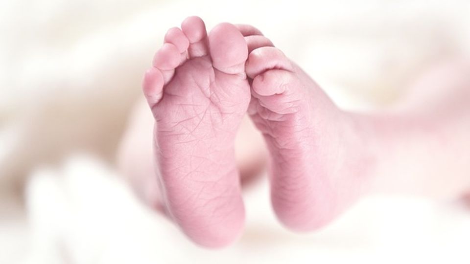 Pair of newborn baby feet with the soles facing the camera.