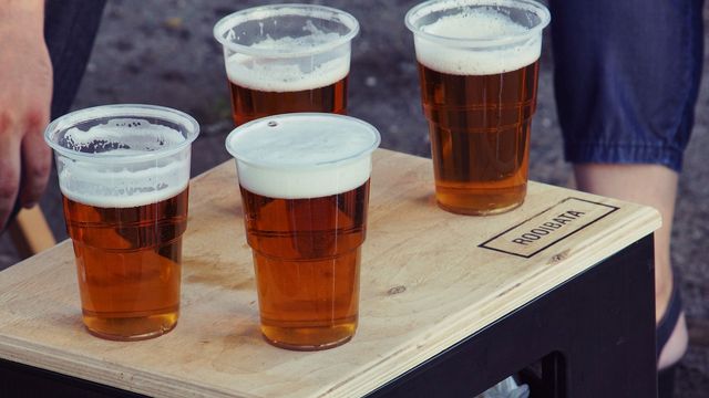 Four pints of beer in plastic cups.