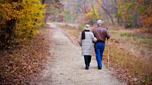 A man and woman walk on a path in a woodland.