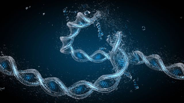 New Approaches for Cancer Therapies: Targeting the DNA Damage Response ...