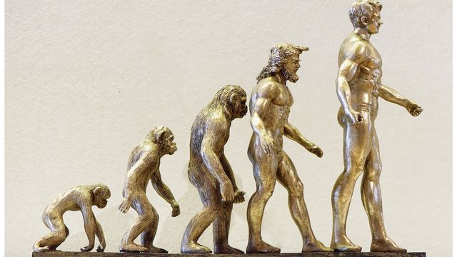 A gold statue showing evolution over time.