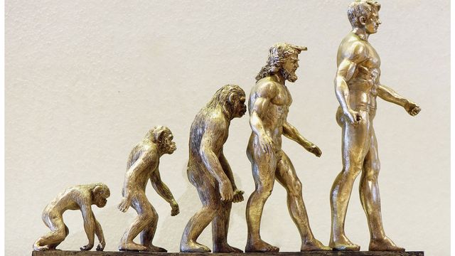 A gold statue showing evolution over time. 