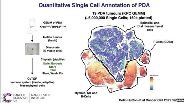 From Cells to Systems – Using Proteomics to Interrogate the Tumor ...