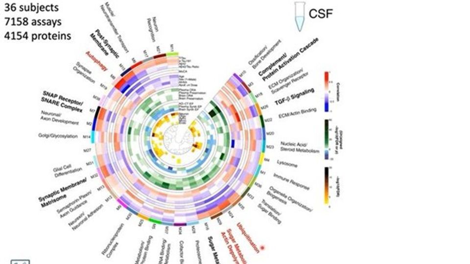 Proteomic Approaches to Advance Understanding of Alzheimer’s Disease content piece image