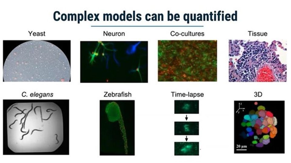 Transforming Drug Discovery via Image-Based Profiling content piece image