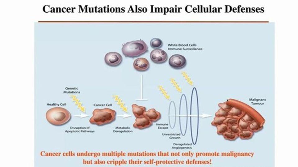 Recent Advances and Challenges in Oncolytic Virotherapy: The Myoxma Virus Story content piece image