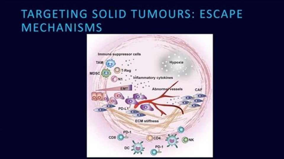 Cancer Immunotherapies Landscape: Challenges and Future content piece image