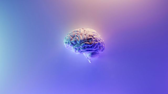 An image of a brain on a blue and purple background. 