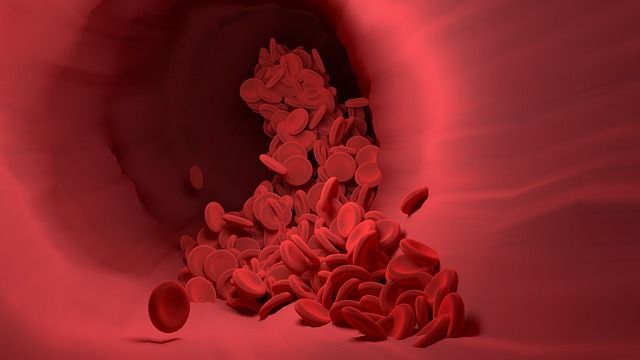 Artist's rendition of a blood vessel with red blood cells tumbling along it.