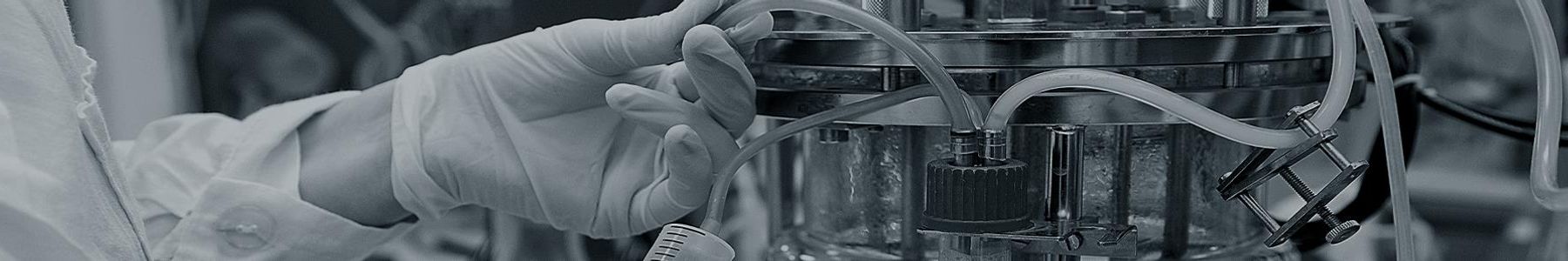 Simplified Diafiltration for Protein Purification content piece image 