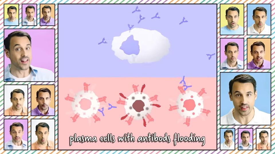 A frame from the video showing an illustration of plasma cells and antibodies with the text 