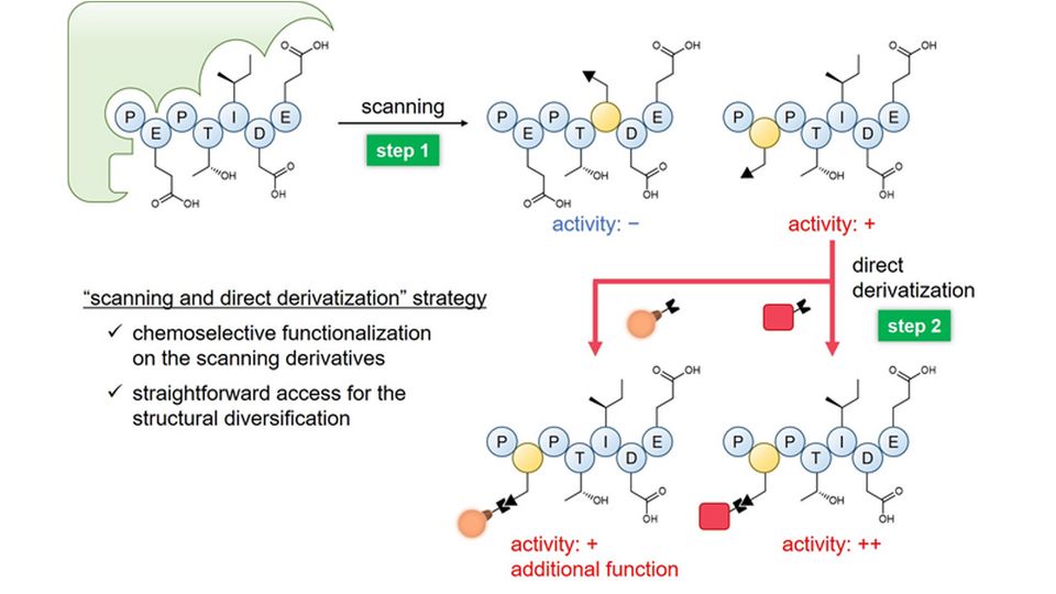 A schematic illustrating how the "scanning and direct derivatization" strategy works.