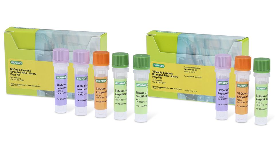 SEQuoia Express Stranded RNA Library Prep Kit