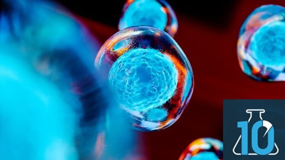 Unraveling the Mysteries of 3D Organoids With Live-Cell Analysis content piece image