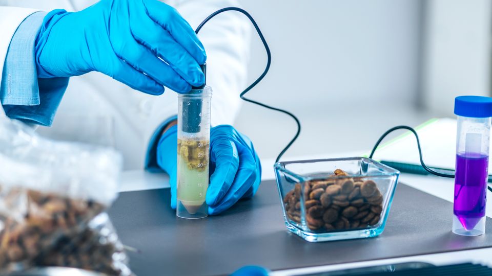 Scientists holding a pH meter in a food sample suspended in water, with a dish of the dry food sample next to it.