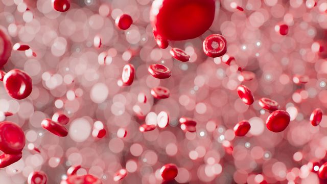 3D render of red blood cells. 