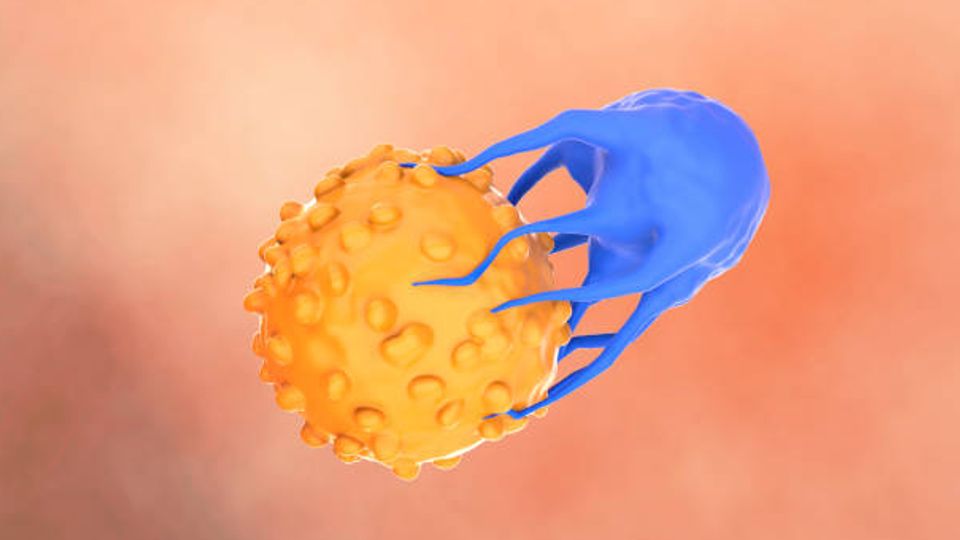 Metabolic Preconditioning For Improved CAR-T Cell Therapy content piece image