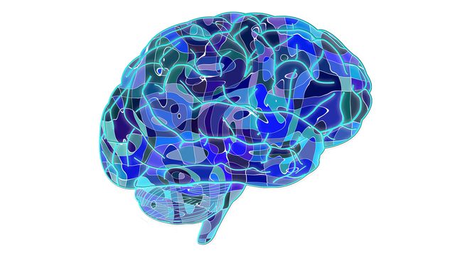 An illustration of a human brain in different shades of blue. 