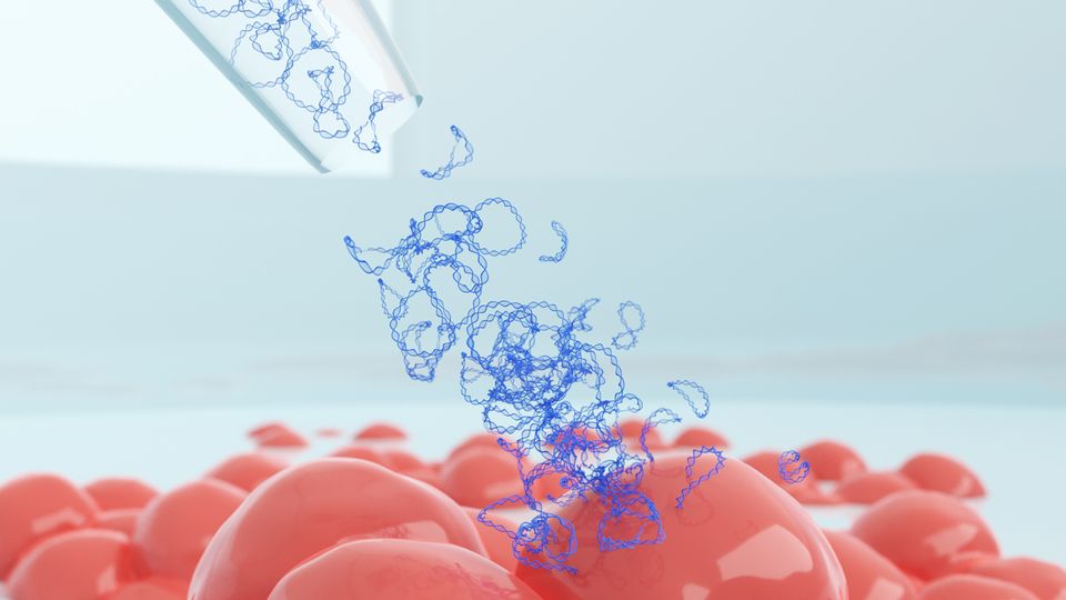 Illustration of plasmid DNA being dispensed from a pipette tip onto a cell culture for transfection.