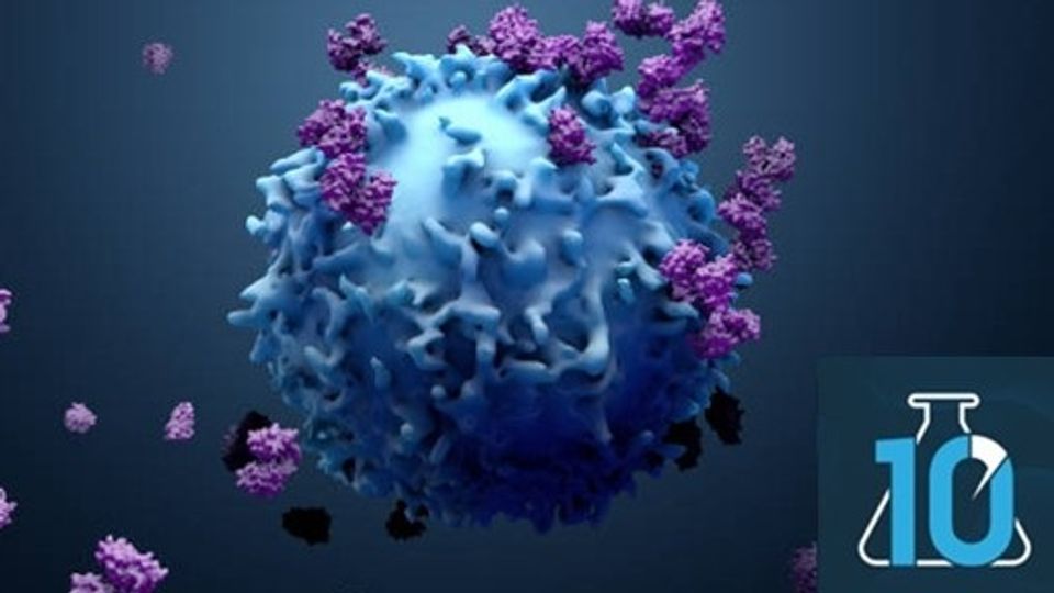 Representation of a bladder tumor cell