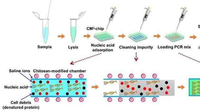 Microfluidic Platform for Pathogen Nucleic Acid Detection Developed ...