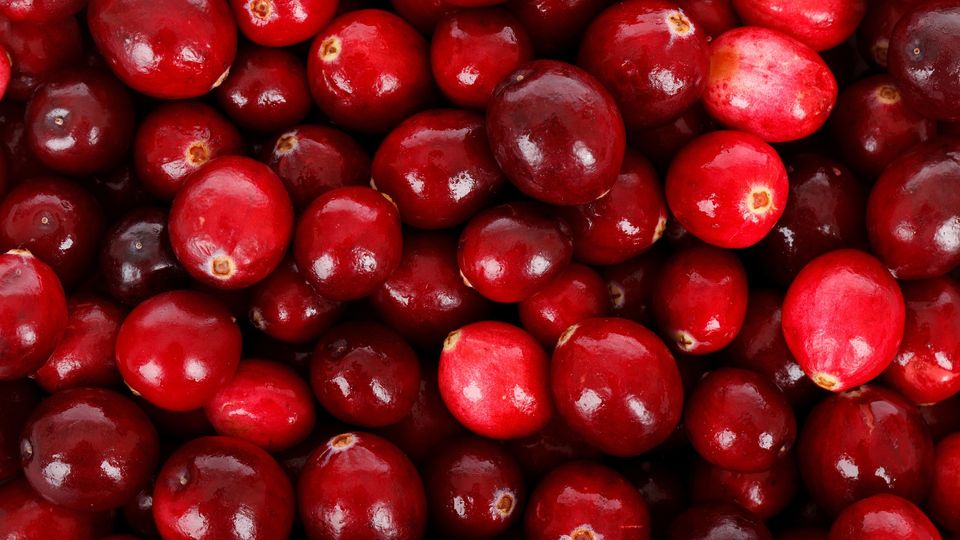 A close-up of some cranberries.