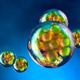 内容块的图像检测系统个人间表观遗传变异