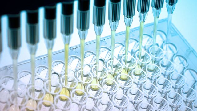 Synthetic Metabolic Pathways for CO2 Fixation Could Benefit the ...