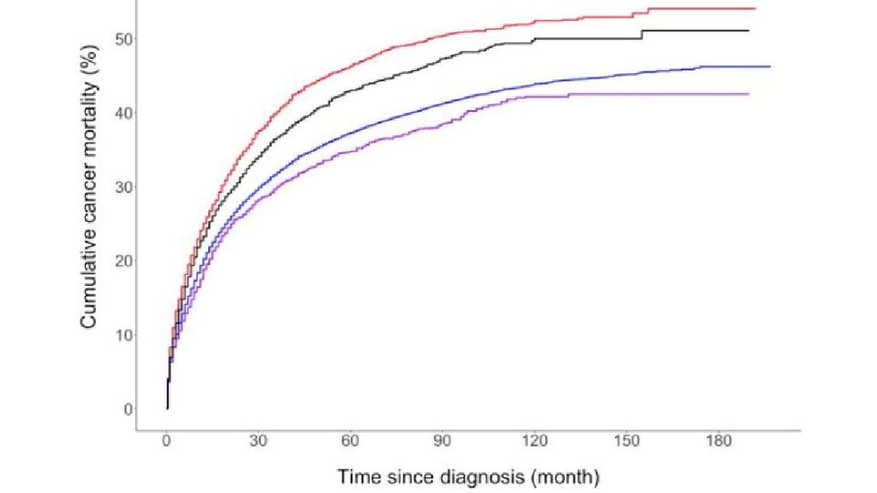 Breast Cancer Risk: Race and Ethnicity