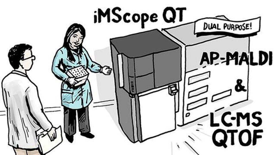 Accelerate Throughput and Discovery for Your Mass Spec Imaging Projects