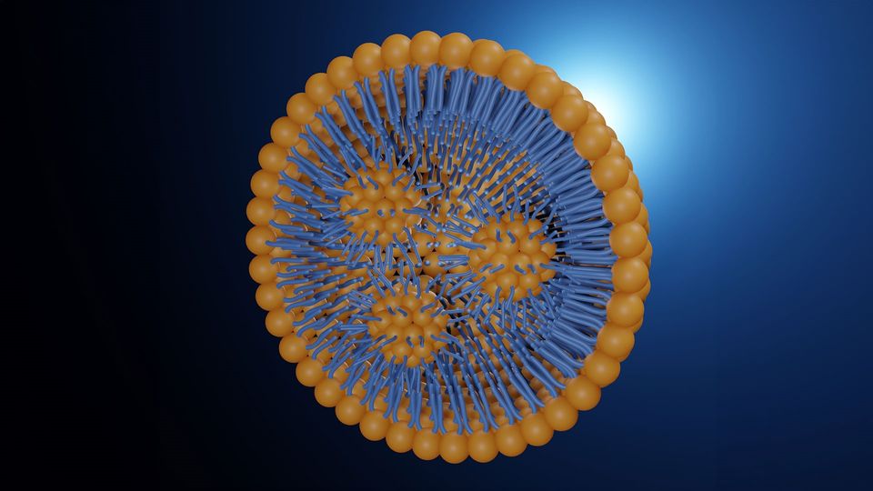 Oligonucleotide Mapping Analysis of Erythropoietin mRNA