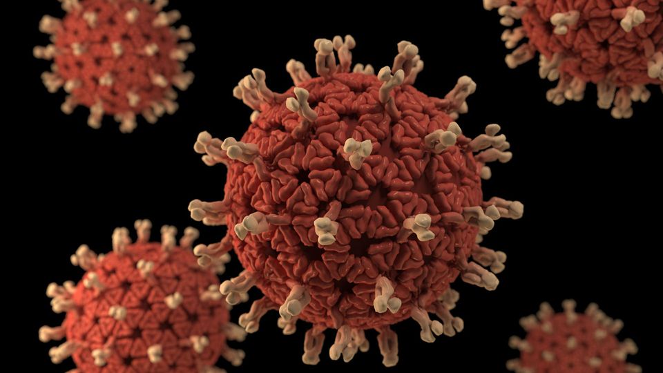 3D graphical representation of a number of Rotavirus virions.